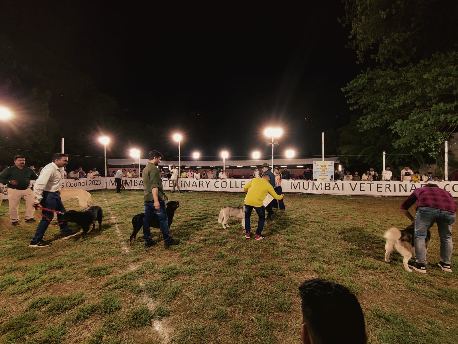 Fashion Show For Pets During Dog Show Of 22 23